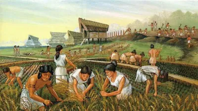 Revolução Agricola - Neolitico