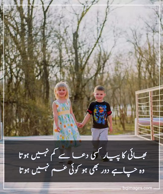 brother quotes in urdu