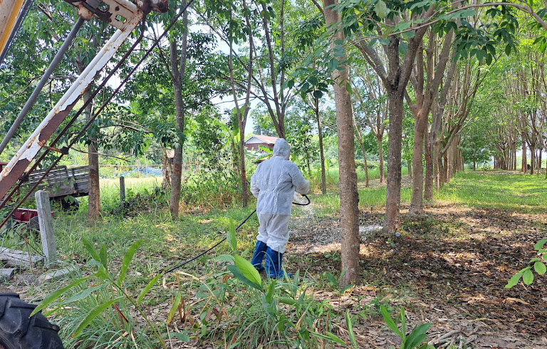 Thailand Anthrax Death Sparks Fears of Wider Global Health Risks