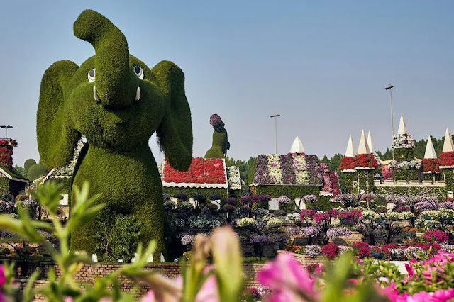 4. Miracle Garden: