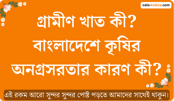 গ্রামীণ খাত কী? বাংলাদেশে কৃষির অনগ্রসরতার কারণ কী?