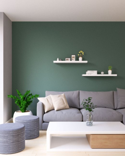 accent colors for gray living room
