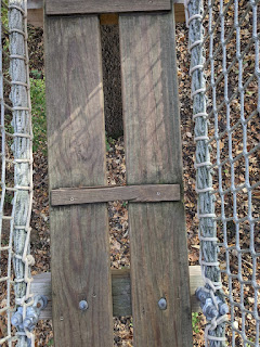 a wooden bridge at the Tree Adventure in Nebraska City, NE