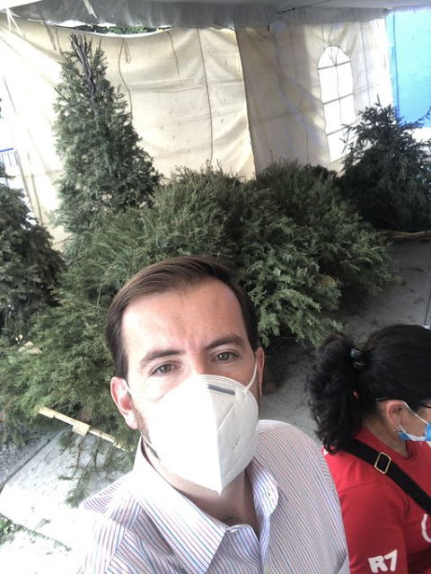 SOAPAMA y Ayuntamiento de Atlixco siguen recibiendo árboles de navidad