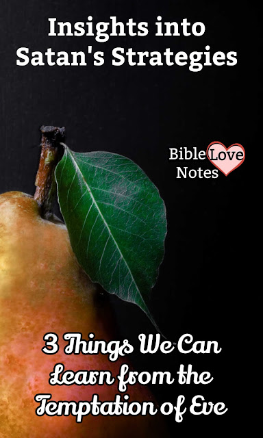 The temptation of Eve gives us some helpful warnings about the way Satan tempts us today. This 1-minute devotion explains.