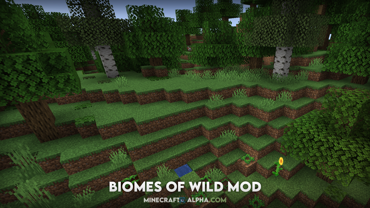 Biomes of Wild Mod 1.17.1 (Unique Biomes added) Biomes of Wild Mod 1.17.1 (Unique Biomes added)