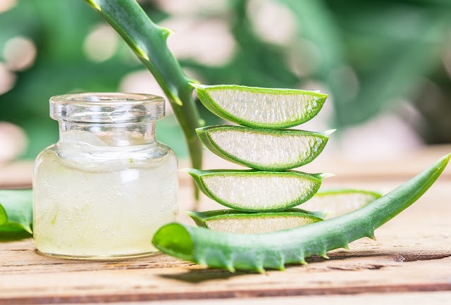 Amazing Health Benefits and Side Effects of Aloe Vera