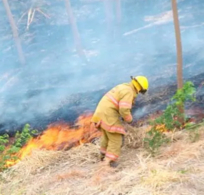 Costa Rica: Bomberos registra cinco incendios de charrales en el país