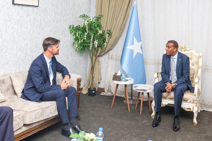 Prime Minister Hamza Abdi Barre, the new British Ambassador to Somalia, Charles Nicholas King,