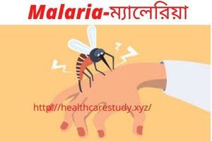 Malaria-ম্যালেরিয়া