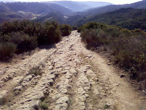 Rockit Trail