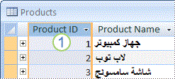 وادي التكنولوجيا | بالعربية: استخدام عمود نوع بياناته من الترقيم التلقائي في قاعدة بيانات أكسيس