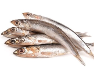 Anchovy fish