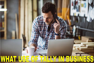What use of tally in business in Hindi