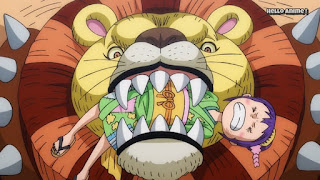 ワンピースアニメ 904話 ワノ国編 | ONE PIECE