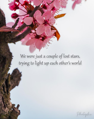 love failure quotes - We were just a couple of lost stars, trying to light up each other's world. People always think that the most painful thing is to lose the one you love.