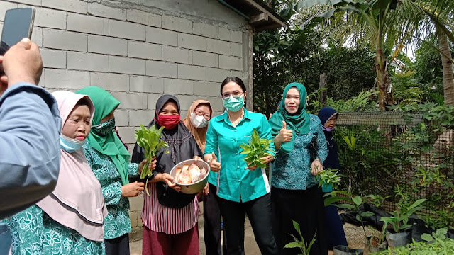 Berikan Penyuluhan PKK di Desa Sungai Pangkalan 1, Ini disampaikan Anita Darwis