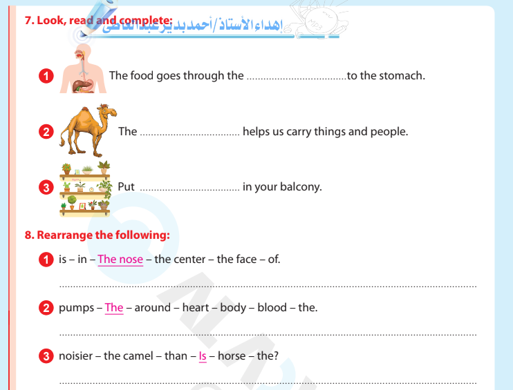 نماذج اختبارات الاضواء المجمعة جميع المواد على منهجى اكتوبر ونوفمبر للصف الرابع الابتدائى الفصل الدراسى الاول