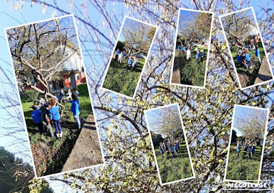 Giornata Nazionale degli Alberi