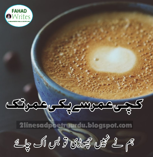 Sad Poetry in Urdu 2 Lines