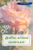 காலை வணக்கம் kaalai vanakkam in tamil wordsகாலை வணக்கம் kaalai vanakkam in tamil words