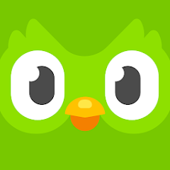 Download The Duolingo Application