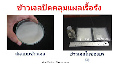 ข้าวเจลปิดคลุมแปลงเรื้อรัง