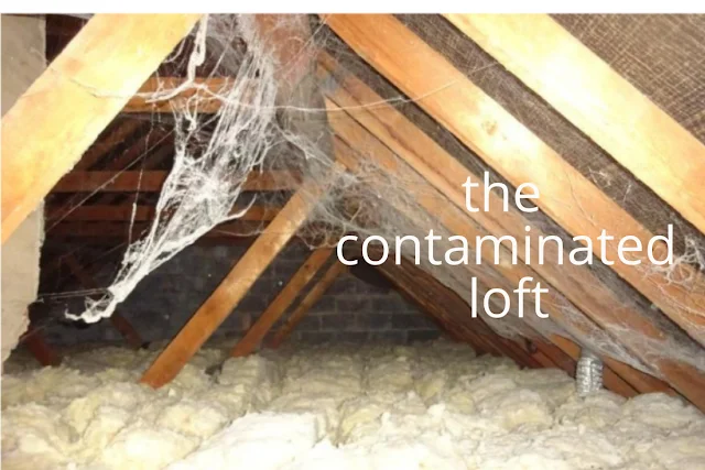 we bought a rat infested house - contaminated loft