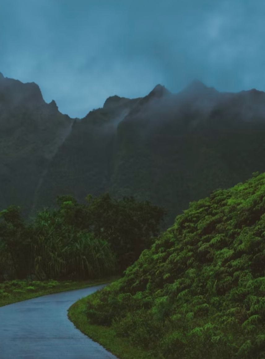 تصویر