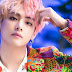 BTS' V revolves clapper lad for Choi Woo- shik on ''Our Beloved Summer'' locate 