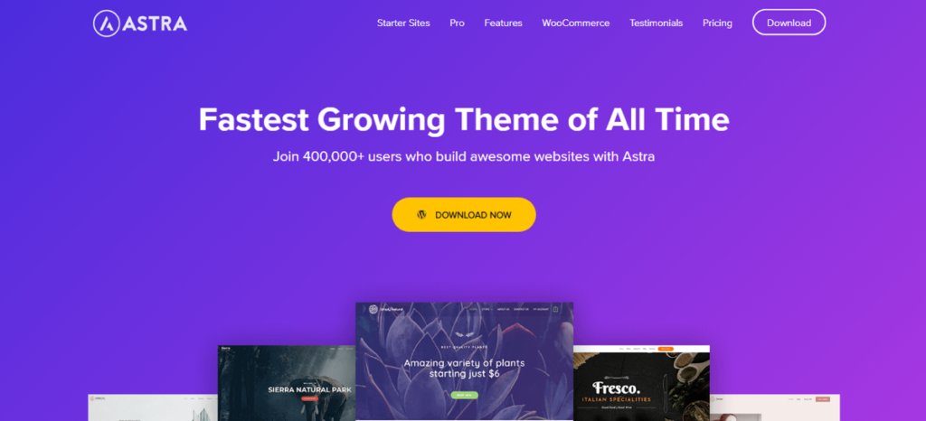 The Top 5 WordPress Themes for 2023 (SEO Optimized)