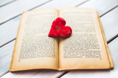 A lei do amor