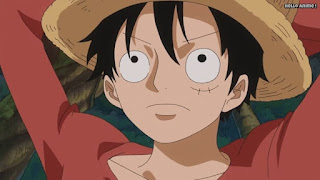 ワンピースアニメ ゾウ編 757話 ルフィ Monkey D. Luffy | ONE PIECE Episode 757