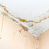 Beware of penetration, make sure your home is complete with these 8 tips!