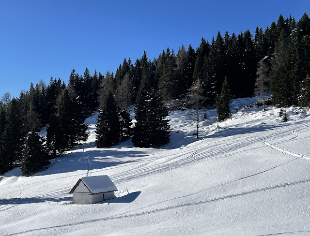 Passeggiata sulla neve in Val Formica