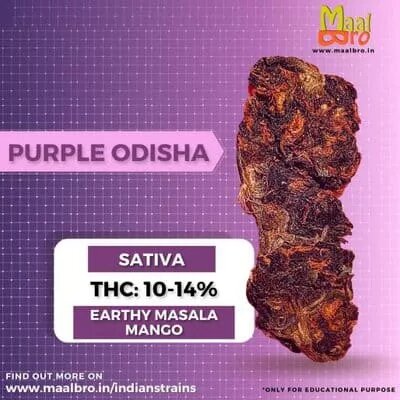 Learn about Indian cannabis strains.