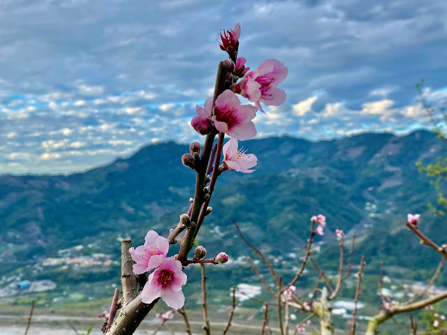 往阿寸坑山