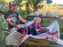 Mario and Calypsa cleaning amaranth seed