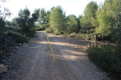 CIMS I COTES DEL BAIX PENEDÈS - MASLLORENÇ, Camí de Masllorenç a Masarbonès i Bonastre