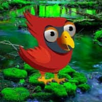 BigEscapeGames Red Angry Bird Escape