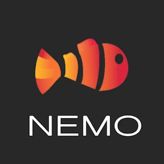 Nemo Pubg