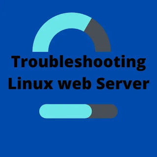 Troubleshooting Linux web Server
