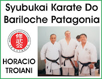 Blog de Karate Do y Kobudo de Okinawa