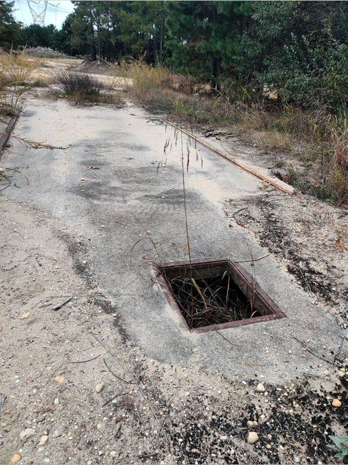 An image of a abandoned road with an open drain hole in the ground with weeds growing out of it. Take by Thomas Pluck,