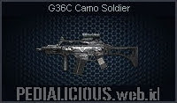 G36C Camo Soldier