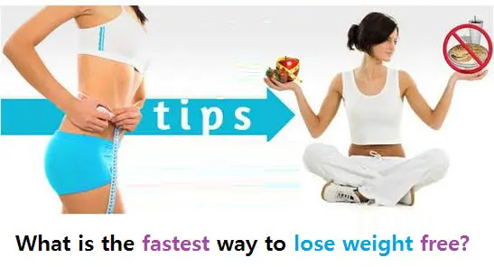 What is the fastest way to lose weight free? Weight Loss Tips