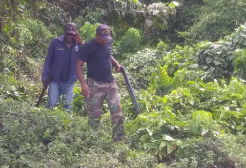 Haina: Encuentran hombre en un saco descuartizado 😨😳😢😰