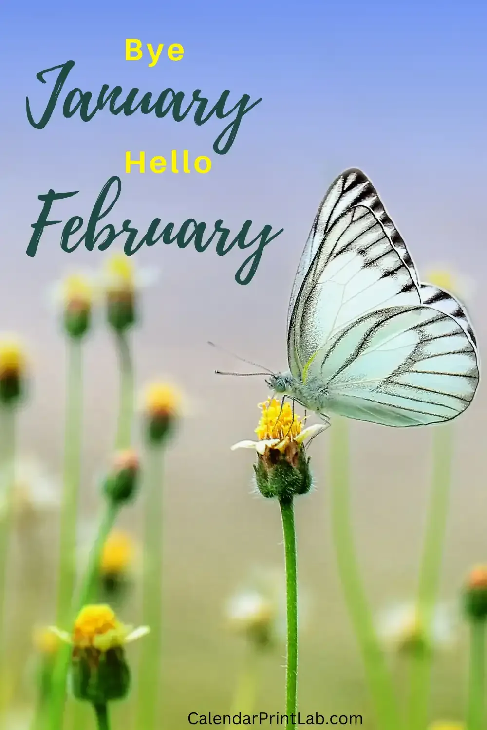 Bye January Hello February Image