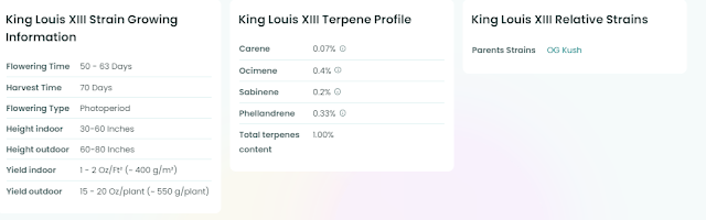King Louis XIII Strain Growing Info