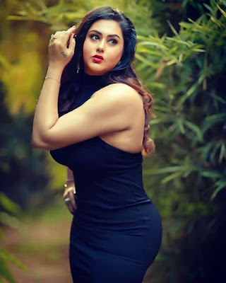 namitha plus size actress